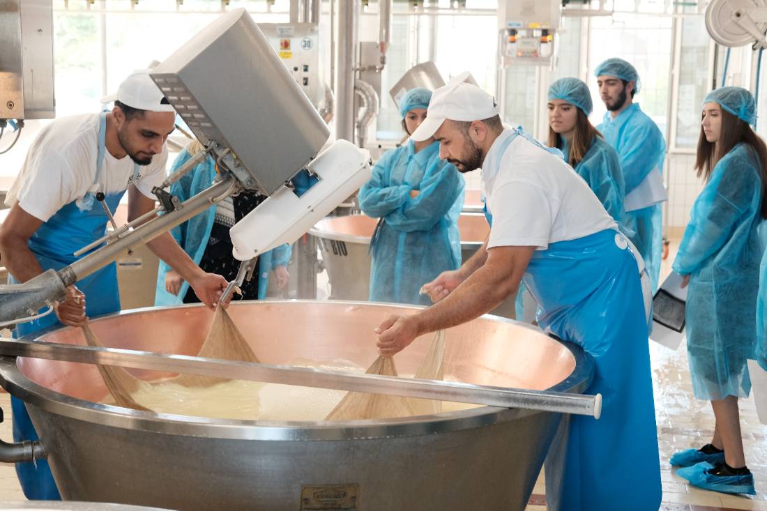 Students dressed in blue hair caps and clothes protection watch two men making parmigiano cheese in factory.